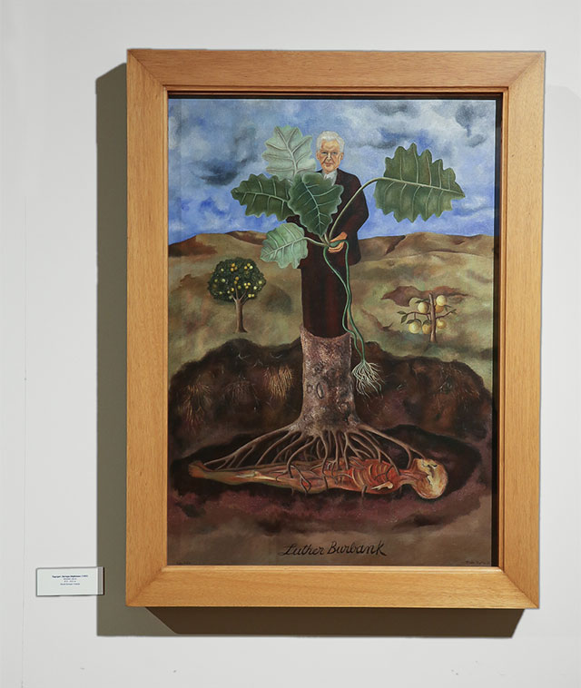 Узнать искусство: экскурсия по выставке Фриды Кало в Музее Фаберже (фото 9)