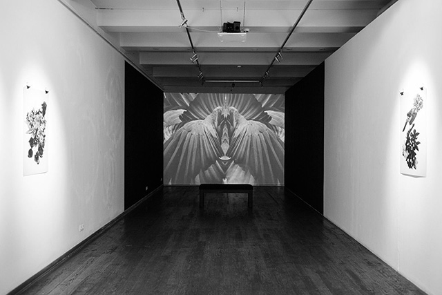 Выставка Муджуса в ММОМА: 5 комментариев художника (фото 2)