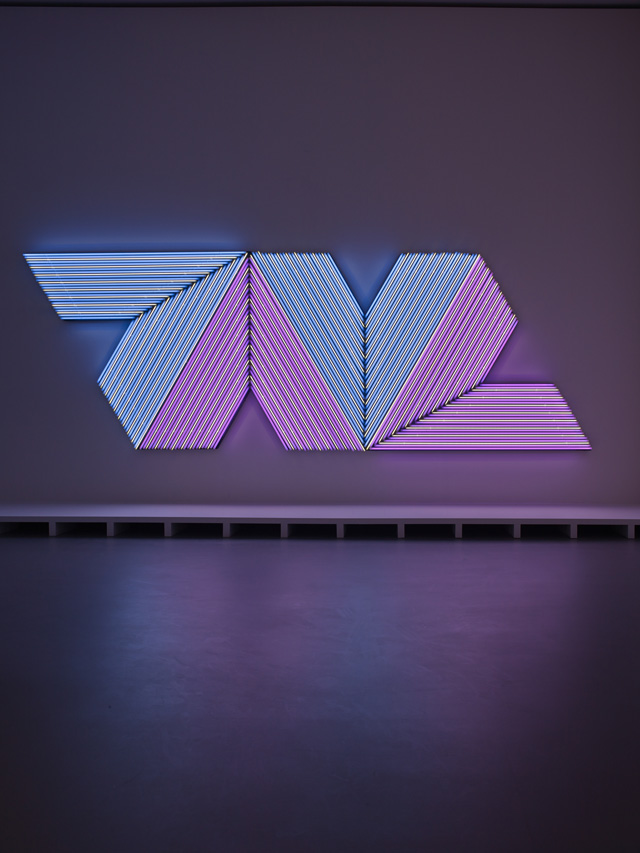 Фонд-музей Louis Vuitton принял первых гостей (фото 5)