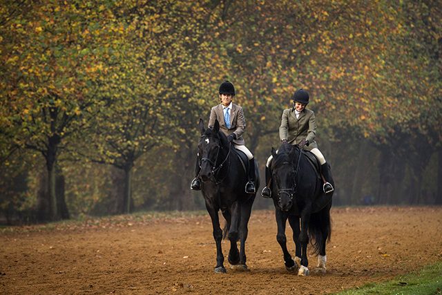 Зимние каникулы в Лондоне: с чувством, с толком (фото 5)