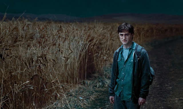 Коротко и ясно: что нужно знать о мире Гарри Поттера (фото 15)