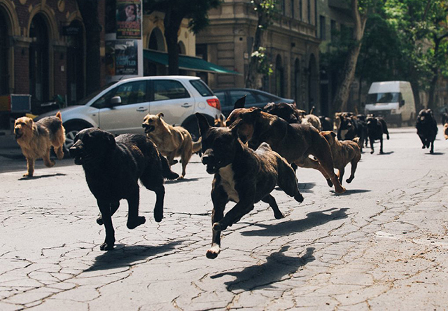 Арт-планы на неделю: 9—15 февраля (фото 4)
