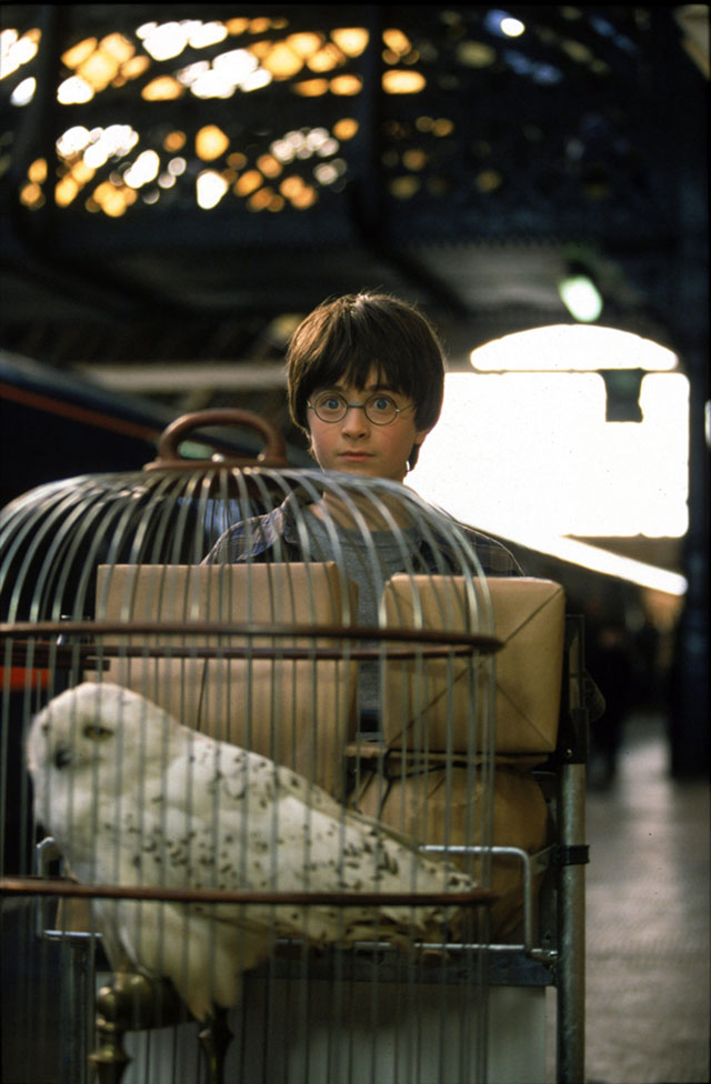 Коротко и ясно: что нужно знать о мире Гарри Поттера (фото 1)
