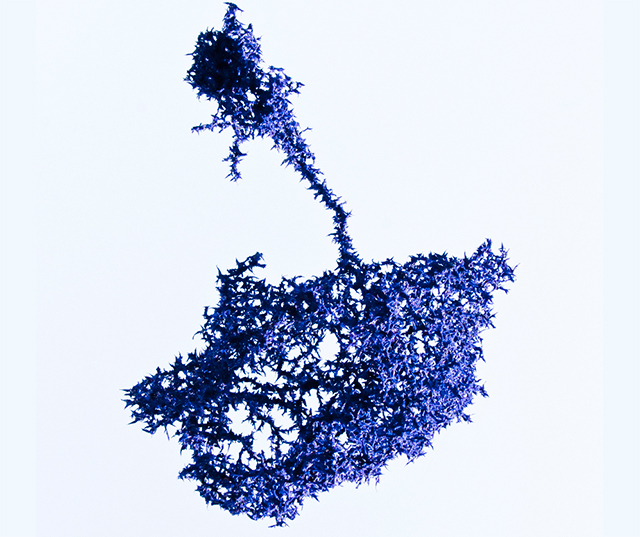 Лето в музеях: 10 петербургских выставок (фото 8)