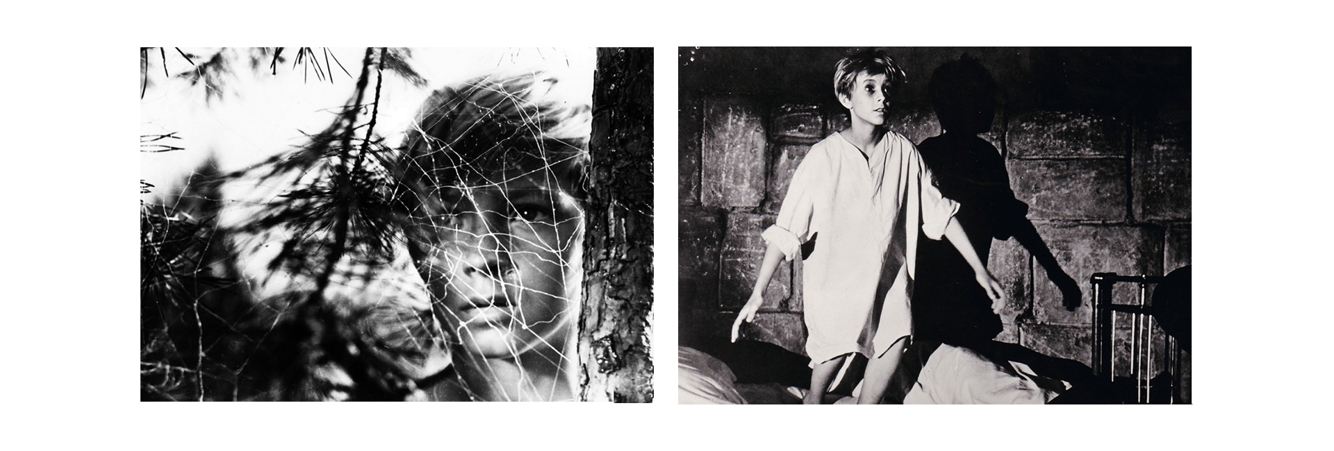 Андрей Кончаловский и его дорога к «Раю»: большой гид по творчеству (фото 1)