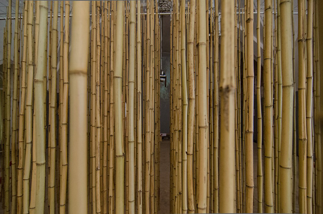 Лучшие московские выставки февраля (фото 4)