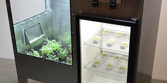 Буи Бьярмар Аталстейнссон, Фабрика Мух "Лаборатория Земля": сайнс-арт на "Красном Октябре" (фото 4)