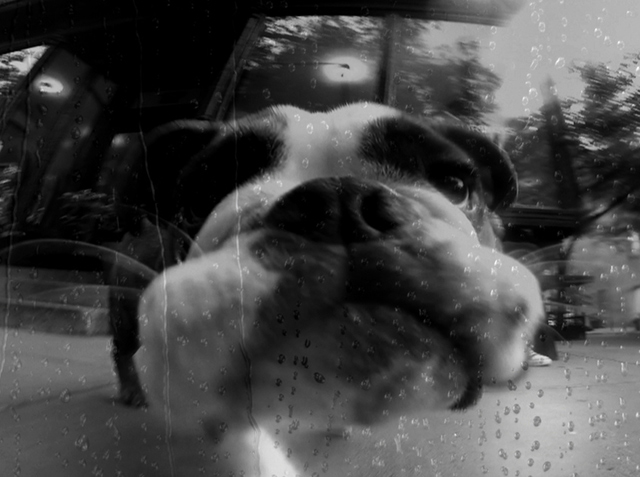 Дэвид Боуи, Джон Берджер и Дженис Джоплин: что смотреть на фестивале Beat Film Festival (фото 4)