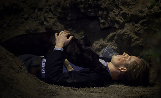 11 фильмов ММКФ, которые нельзя пропустить (фото 4)