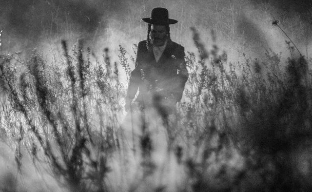 Кому достались награды кинофестиваля в Локарно (фото 3)