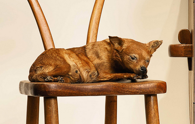 Маурицио Каттелан. Untitled, 1997 В Нью-Йорке выставят Маурицио Каттелана (фото 4)