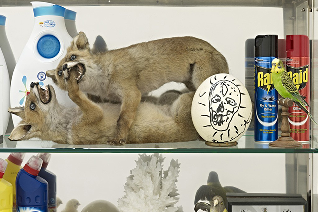 Дэмиен Херст создаст кабинет редкостей в парижской кунсткамере (фото 2)