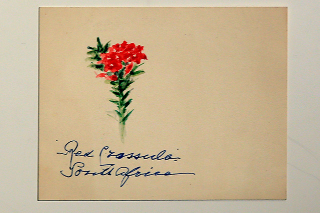 В Музее Фаберже выставят личные вещи князей Юсуповых (фото 2)