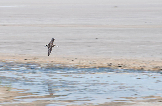 10 лучших направлений для путешествий по России (фото 8)