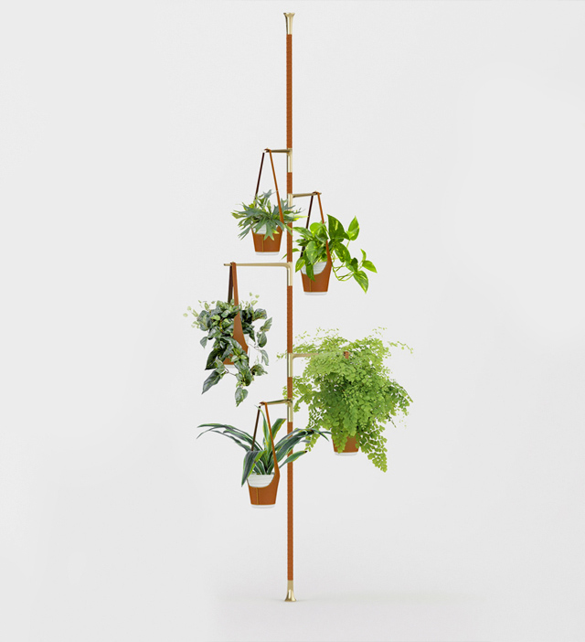 Зимний сад в стиле Louis Vuitton: аксессуары для цветов (фото 1)