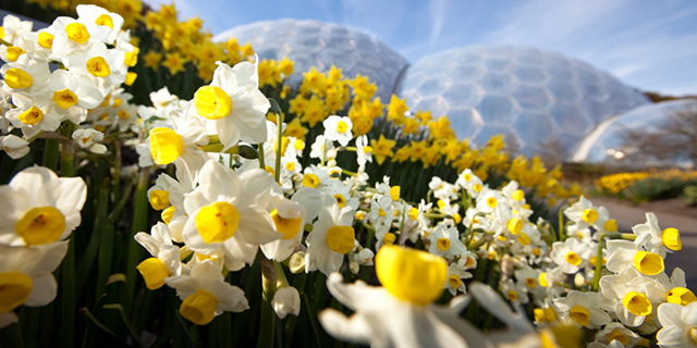 В Великобритании появится самый экологичный отель в мире? (фото 6)