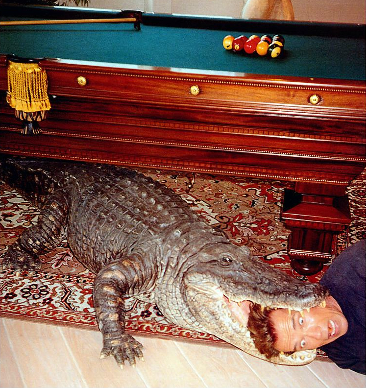 Выставка Юргена Теллера в Лондоне (фото 9)