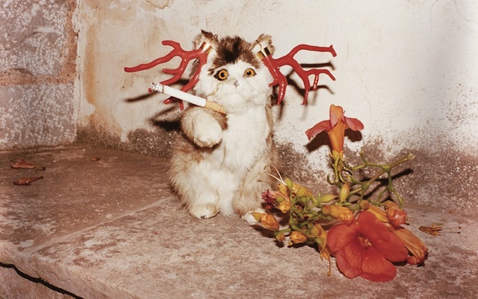 Выставка Юргена Теллера в Лондоне (фото 8)