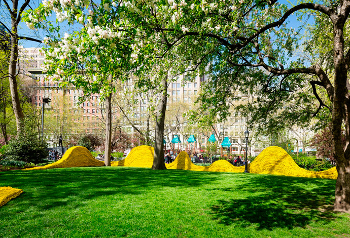 426 км веревки в парке Нью-Йорка (фото 4)