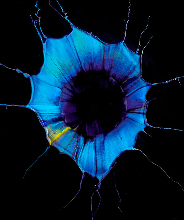 Фабиан Офнер превращает брызги краски в орхидеи (фото 6)