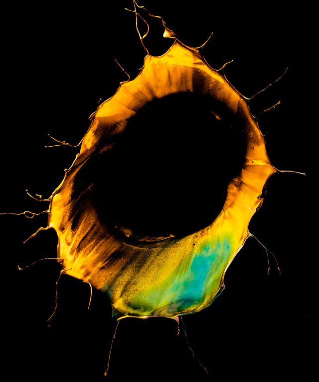 Фабиан Офнер превращает брызги краски в орхидеи (фото 3)