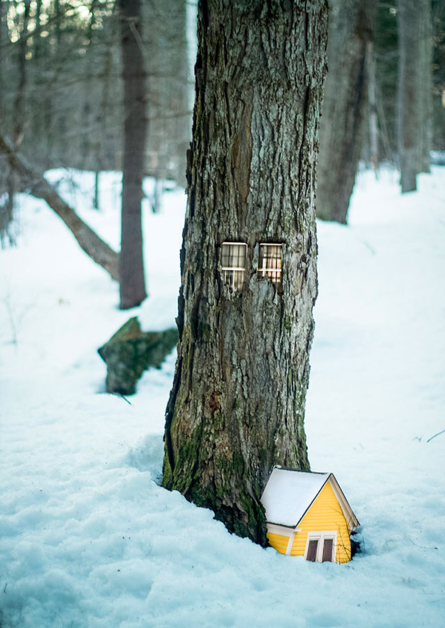 Дом в дереве: инсталляции Даниеля Баррето (фото 4)