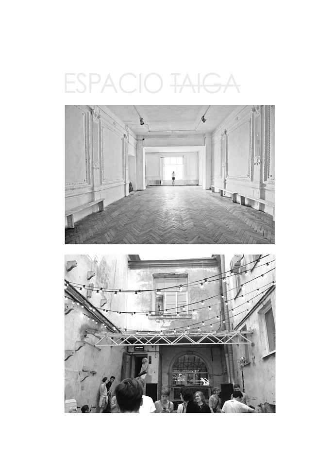 Коллажи Эрнесто Артильо в Санкт-Петербурге (фото 11)