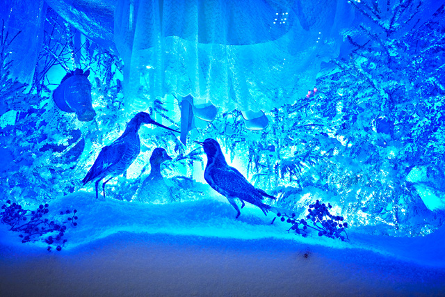 Витрина по эскизам Анастасии Романцовой