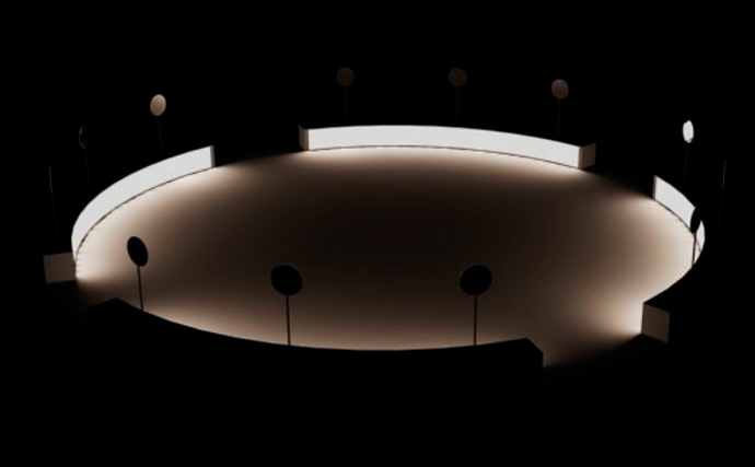 "Гибридное искусство" в Манеже (фото 6)