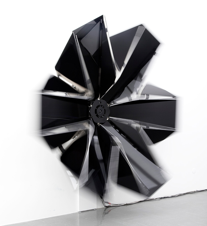 "Гибридное искусство" в Манеже (фото 3)