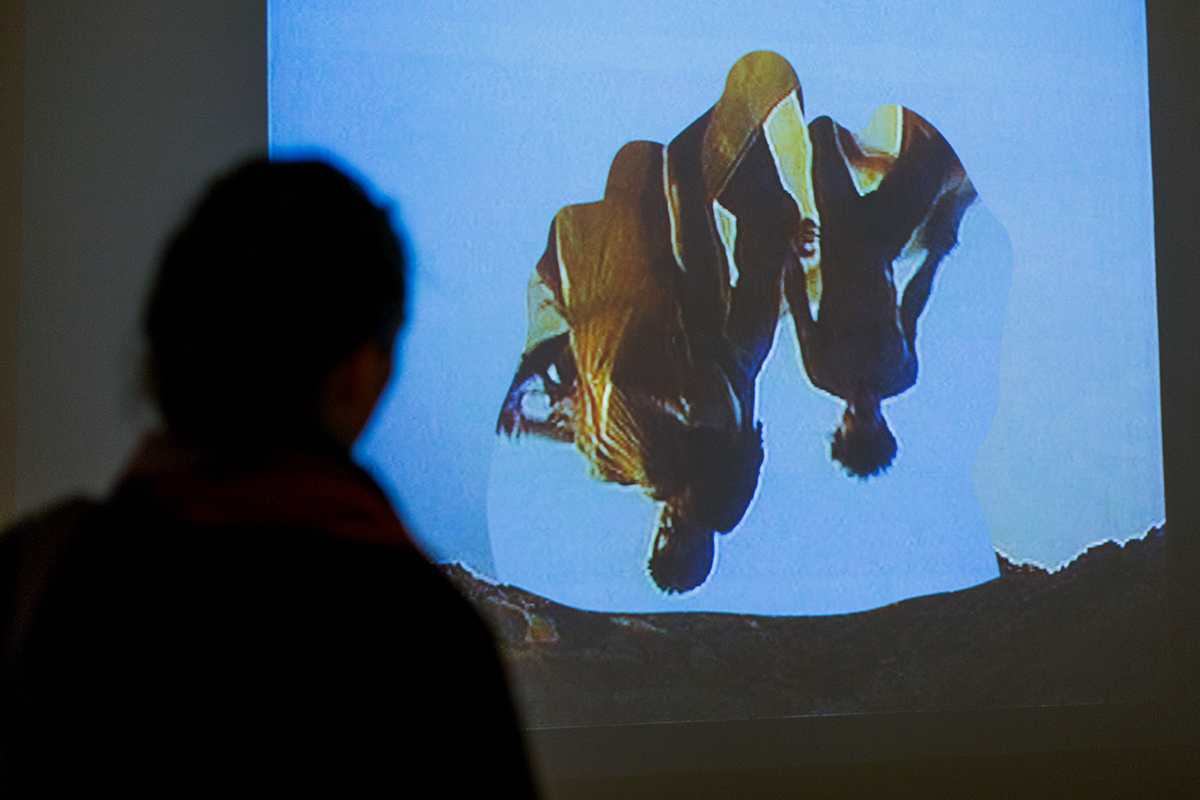 "Водоворот" в Музее современного искусства "Гараж" (фото 3)