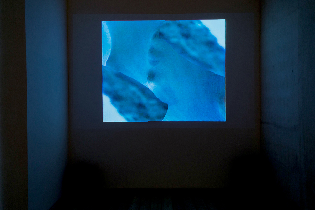 "Водоворот" в Музее современного искусства "Гараж" (фото 2)