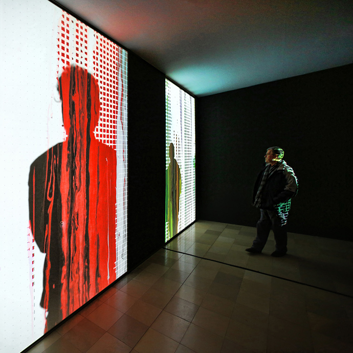 "Гибридное искусство" в Манеже (фото 10)