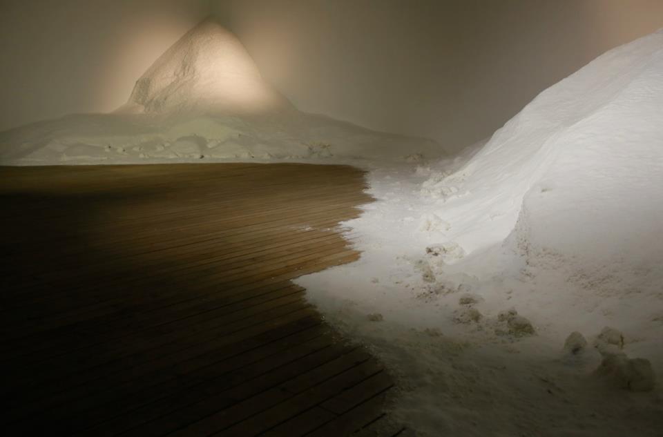 Выставка Филиппа Паррено в "Гараже"