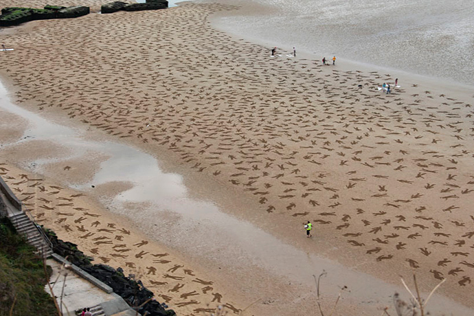 9 тысяч рисунков на песке (фото 2)