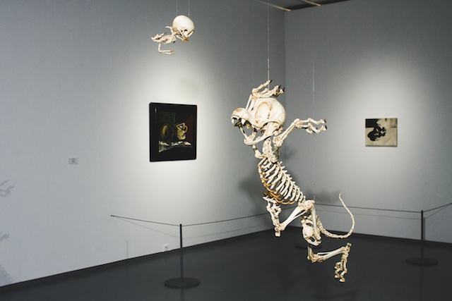 Арт-коллекцию Дэмиена Херста впервые выставили в Москве (фото 3)