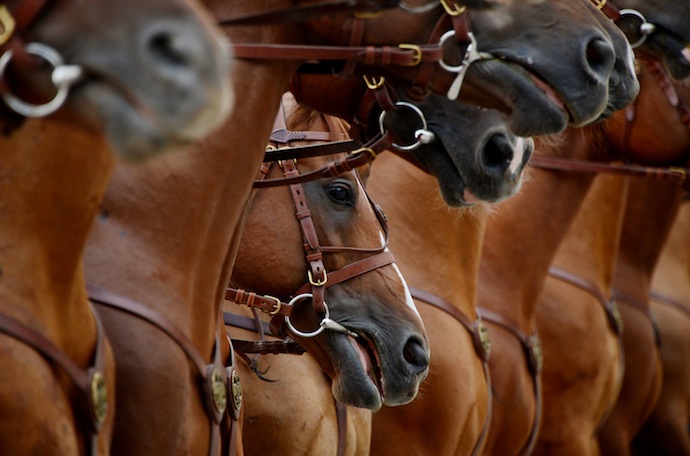 Юбилейная Best of Russia на "Винзаводе" (фото 8)
