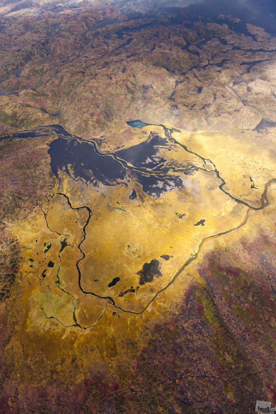 Выбор Buro 24/7: Фотографии Best of Russia (фото 8)