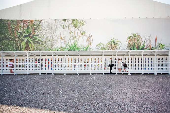 Фестиваль Orange Days в "Новой Голландии" (фото 19)