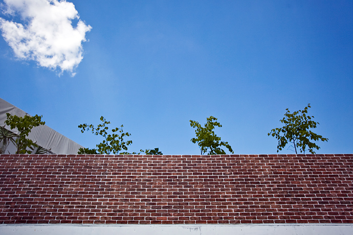 Фестиваль Orange Days в "Новой Голландии" (фото 25)