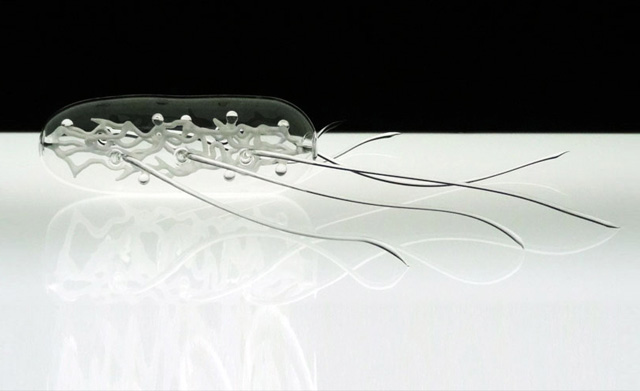 Стеклянная микробиология (фото 11)