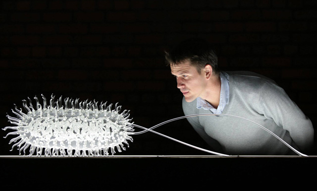 Стеклянная микробиология (фото 3)