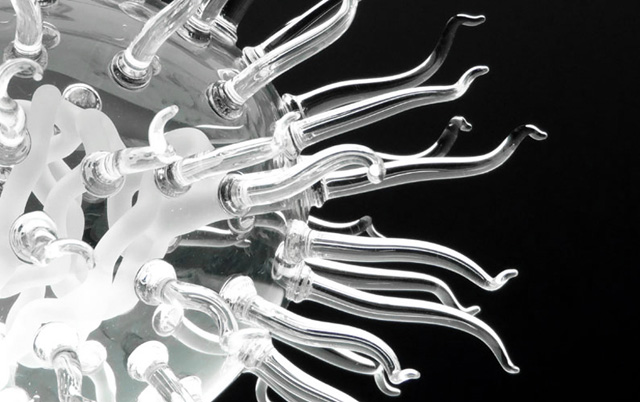 Стеклянная микробиология (фото 14)