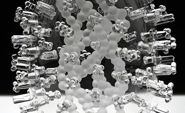 Стеклянная микробиология (фото 8)