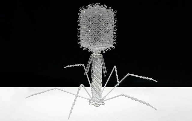 Стеклянная микробиология (фото 10)