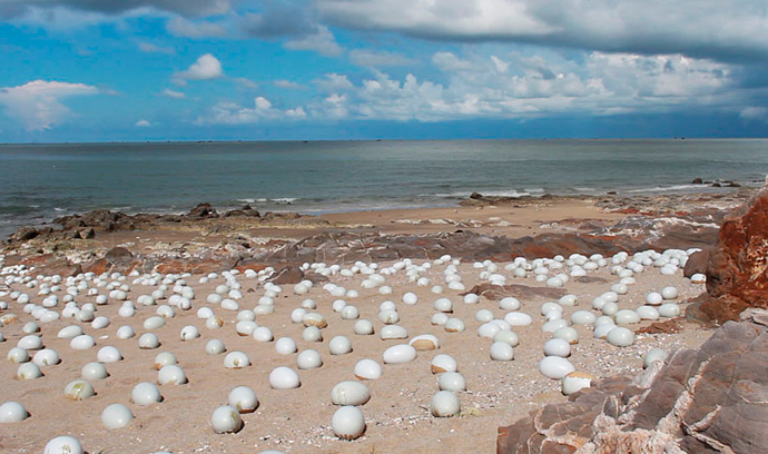 Тысячи яиц в пустыне Гоби: инсталляция Ши Шаопеня (фото 6)