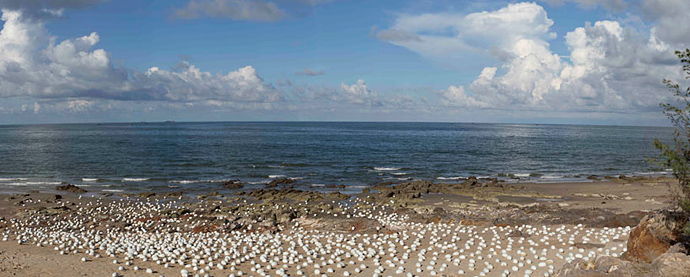 Тысячи яиц в пустыне Гоби: инсталляция Ши Шаопеня (фото 4)