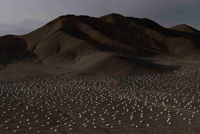 Тысячи яиц в пустыне Гоби: инсталляция Ши Шаопеня (фото 1)