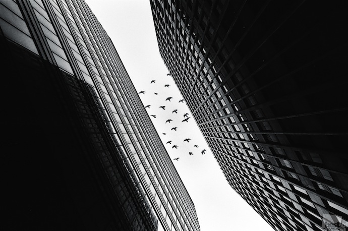 Выбор Buro 24/7: Фотографии Best of Russia (фото 10)