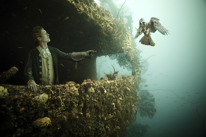 Подводная придворная жизнь (фото 2)